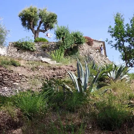 A Casetta Padrone, Qu Location, Un Art De Vivre Cervione