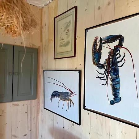 A Casetta Padrone, Qu Location, Un Art De Vivre Cervione
